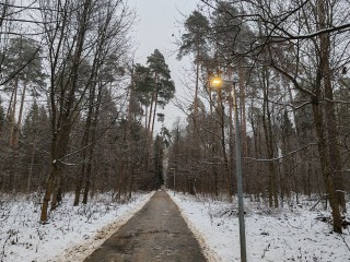 В Черноголовке борются с вандалами — любителями тьмы