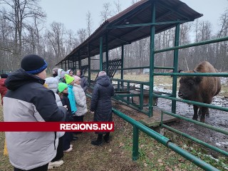 Школьники познакомились с зубрами Приокско-Террасного заповедника