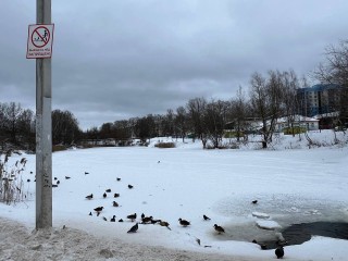 Экстремальную детскую горку на улице Шибанкова огородили