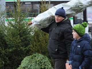 Елочный базар заработал у городского рынка