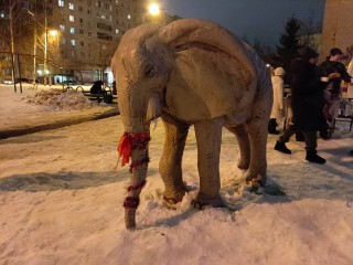 Жителям домов на улице Крупской в Лобне подарили слона