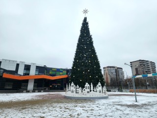 Монтаж и украшение главной новогодней ели завершили в Пущине