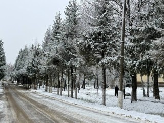 Синоптики сказали, растает ли выпавший в Подмосковье снег