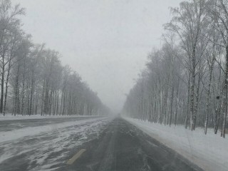 Неблагоприятные погодные условия ожидаются в Московской области