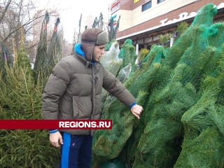 Мастер спорта по самбо открыл елочный базар в Лесном Городке