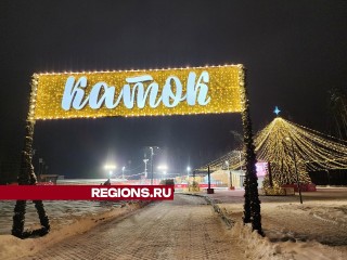 Каток с искусственным льдом открылся в парке Малевича