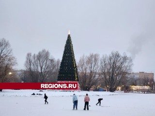 На пруду «Баранка» открылся бесплатный каток