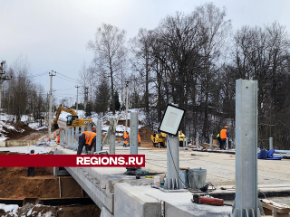 В деревне Троица начали устанавливать барьеры на мосту через Молодильню