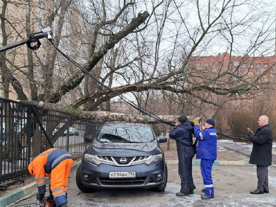 В Люберцах убрали упавшее дерево, которое придавило автомобиль