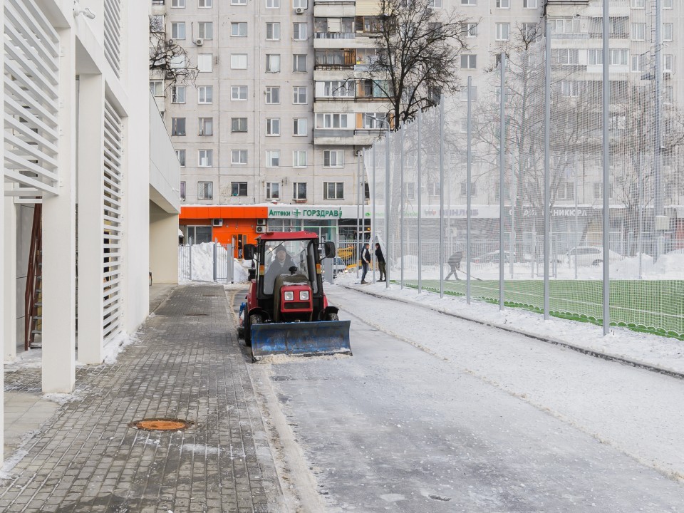 Потепление ожидается в конце января в Подмосковье