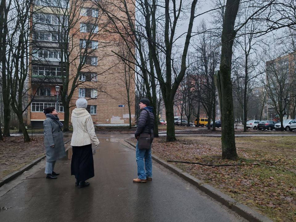 В Черноголовке выявлены опасные деревья