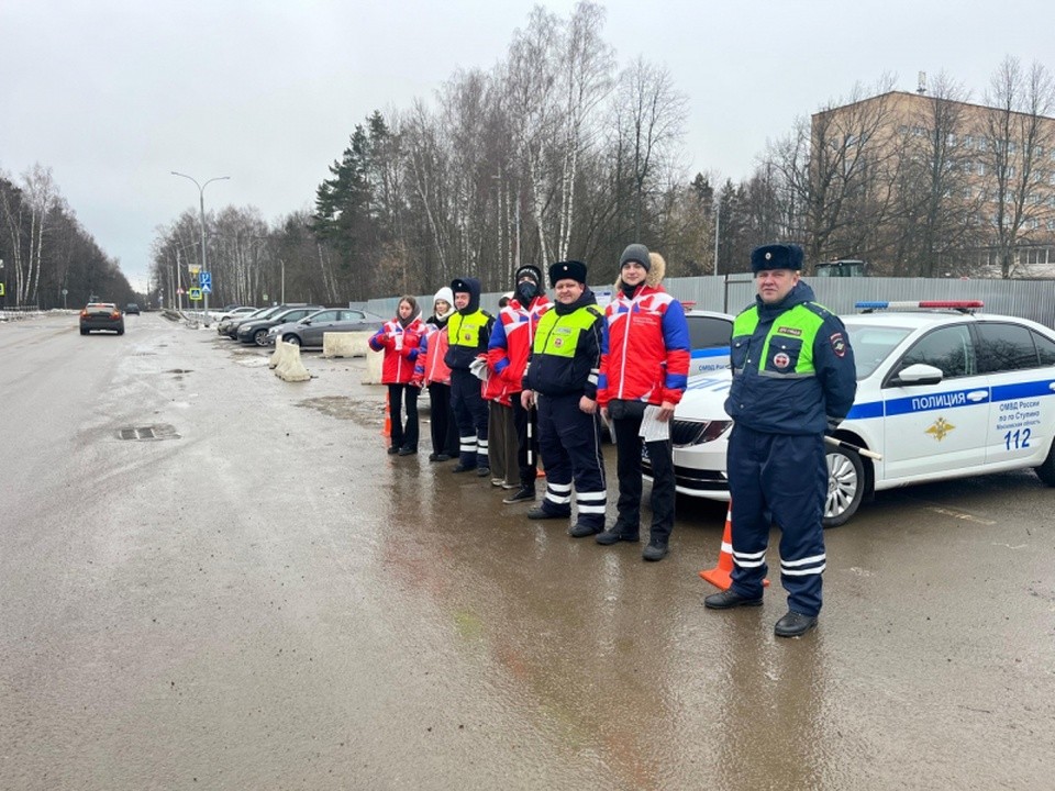 В Ступине прошла акция «Пристегни самое дорогое!»