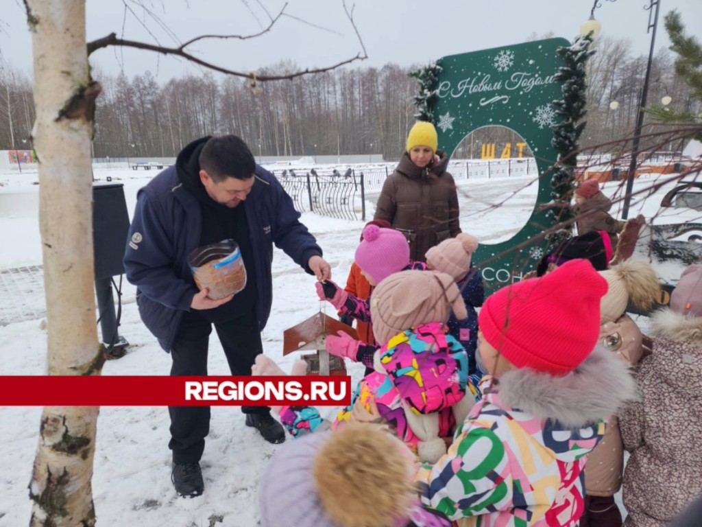 Дошкольники покормили птиц в парке имени Гагарина и повесили новую кормушку