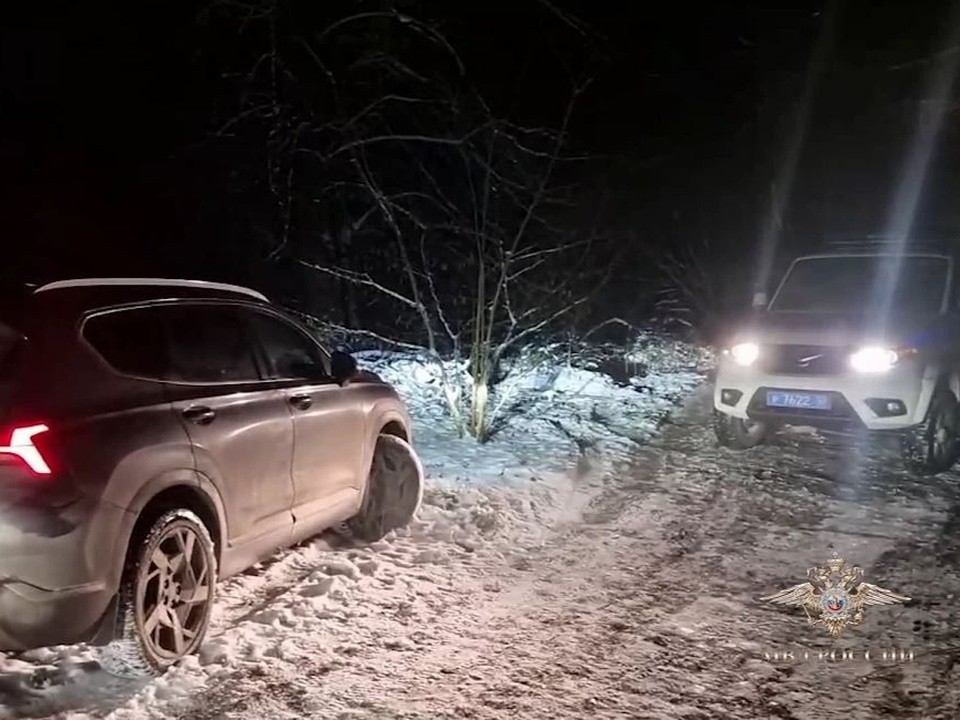 В Москве задержаны серийные угонщики, орудовавшие в Подмосковье