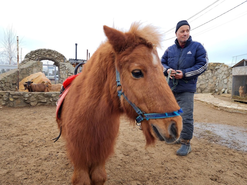 Новый питомец контактного зоопарка в Раменском лечит особенных детей