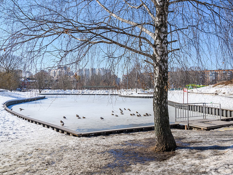 «Морозы еще впереди»: метеоролог Позднякова рассказала, когда вернется зима в Подмосковье