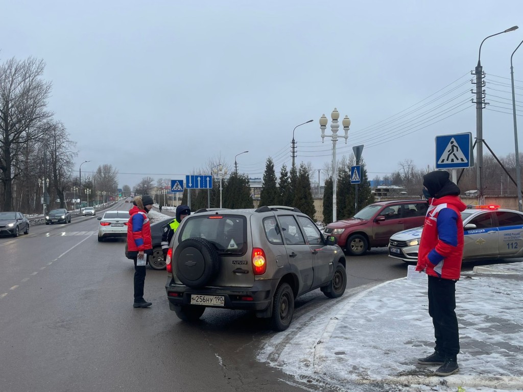 Совместную акцию провели в Ступине общественники и полиция