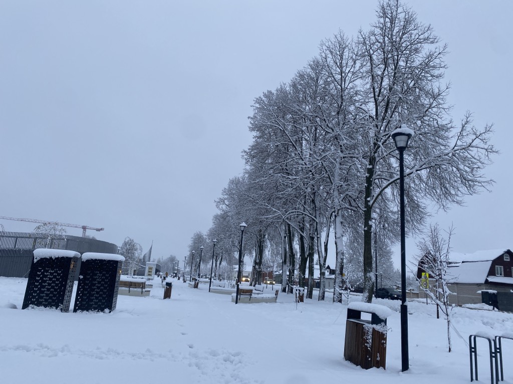 Огромную дыру в парке Волоколамска запечатали крышкой