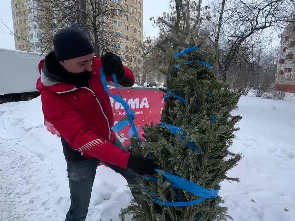 В Госдуме предупредили о штрафах за выброшенные в контейнеры елки