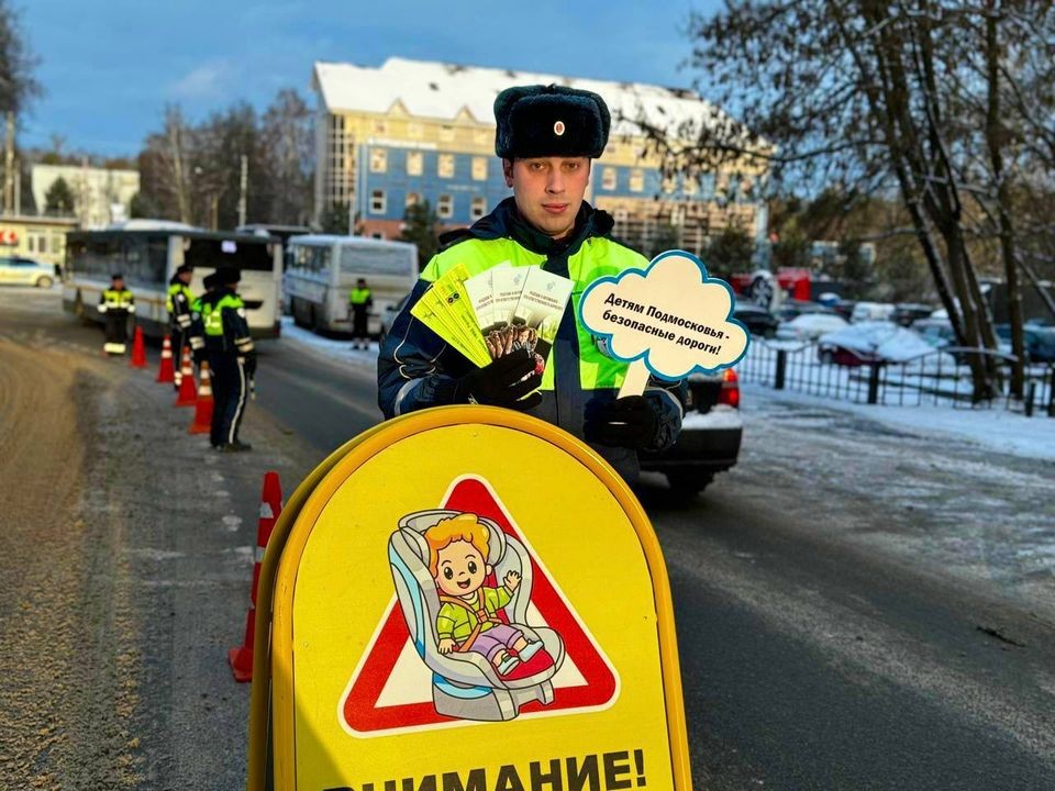 В Красногорске массово проверили безопасность перевозки детей в машинах