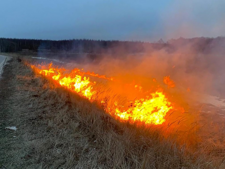 В Коломне вдоль дороги загорелась прошлогодняя сухая трава