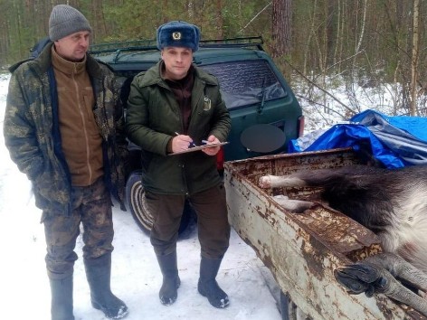 Трех человек с ружьями задержали в лесах Московской области