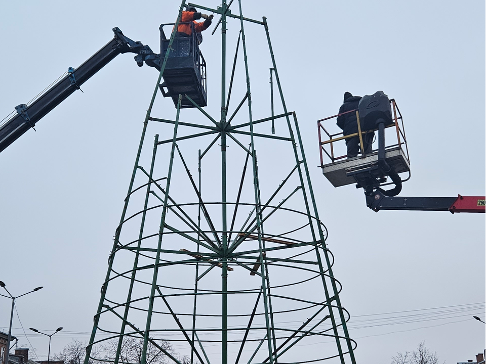 В Жуковском разбирают новогоднюю елку