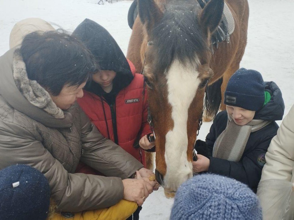 Особенным детям из Ивантеевки с социализацией помогают лошади