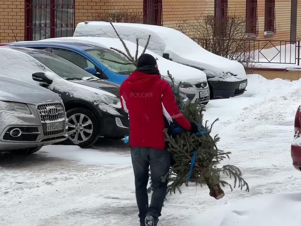 Площадки для утилизации елок закроются в Павловском Посаде в феврале