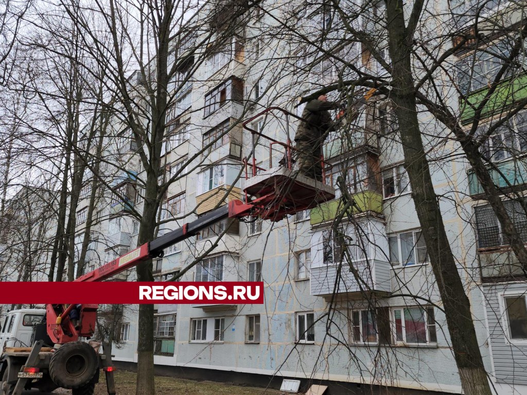 Над тротуаром улицы Бахарева в Ступине опиливают деревья