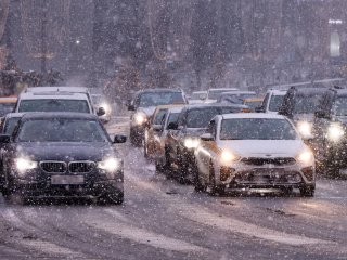 В Подмосковье мужчина набросился на водителя, который подрезал авто его спутницы