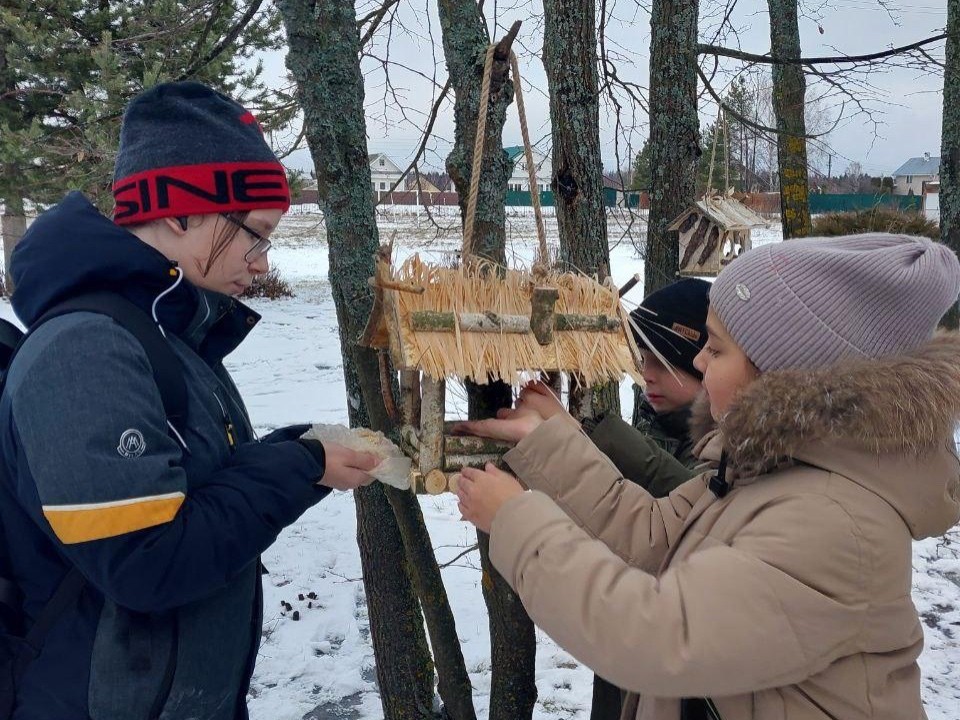 Лесничие Шатуры рассказали школьникам, как кормить птиц зимой