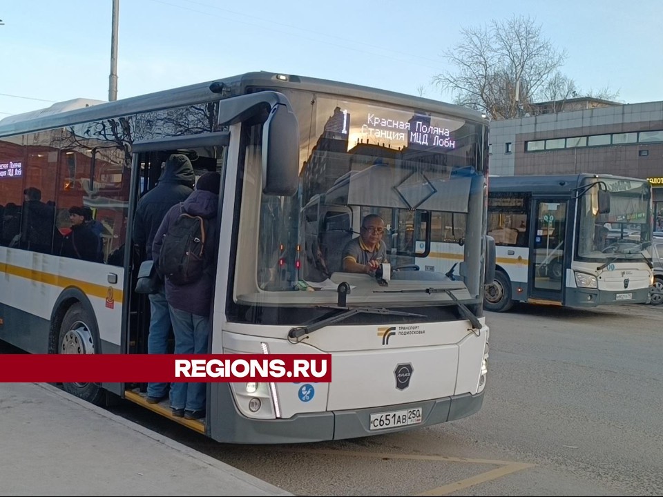 Три новых больших автобуса вышли на маршрут №1 в Лобне