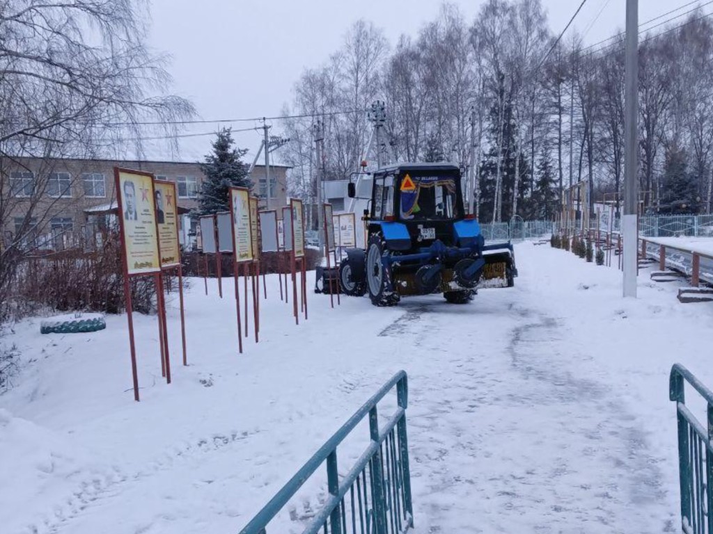 В селе Пышлицы убрали снег