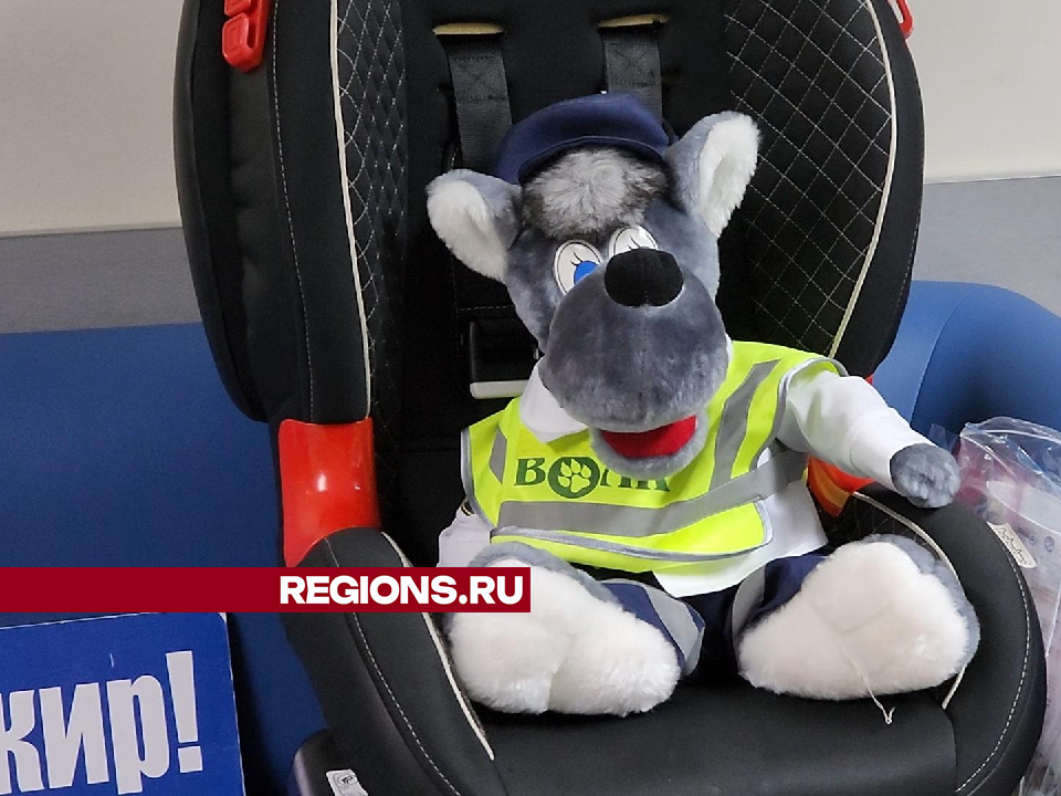 Волк с набитой «шишкой» научил детей Дубны пристегивать ремни безопасности в авто