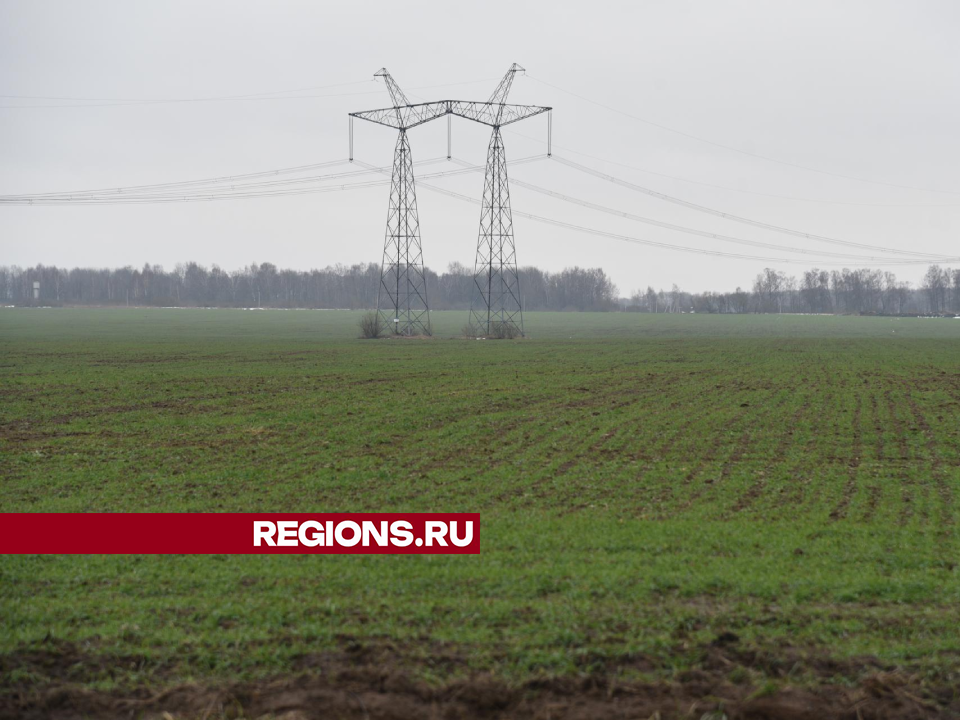 Экстремально мягкая зима не повлияет на урожайность озимых в Лотошине