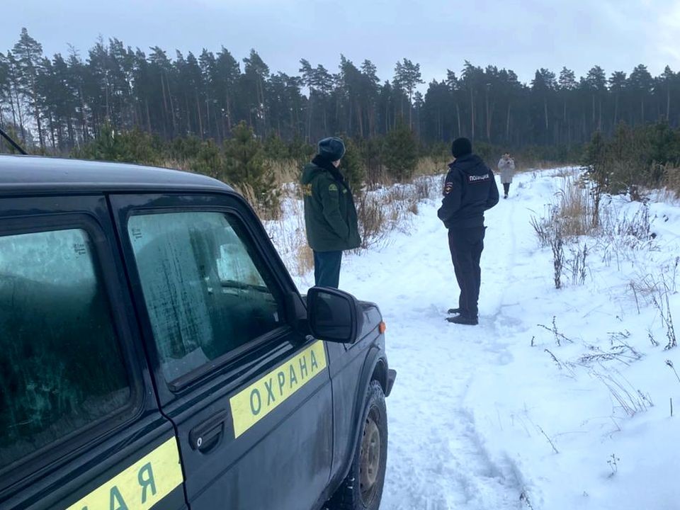 Комлесхоз Подмосковья раскрыл особенности охраны лесного богатства региона