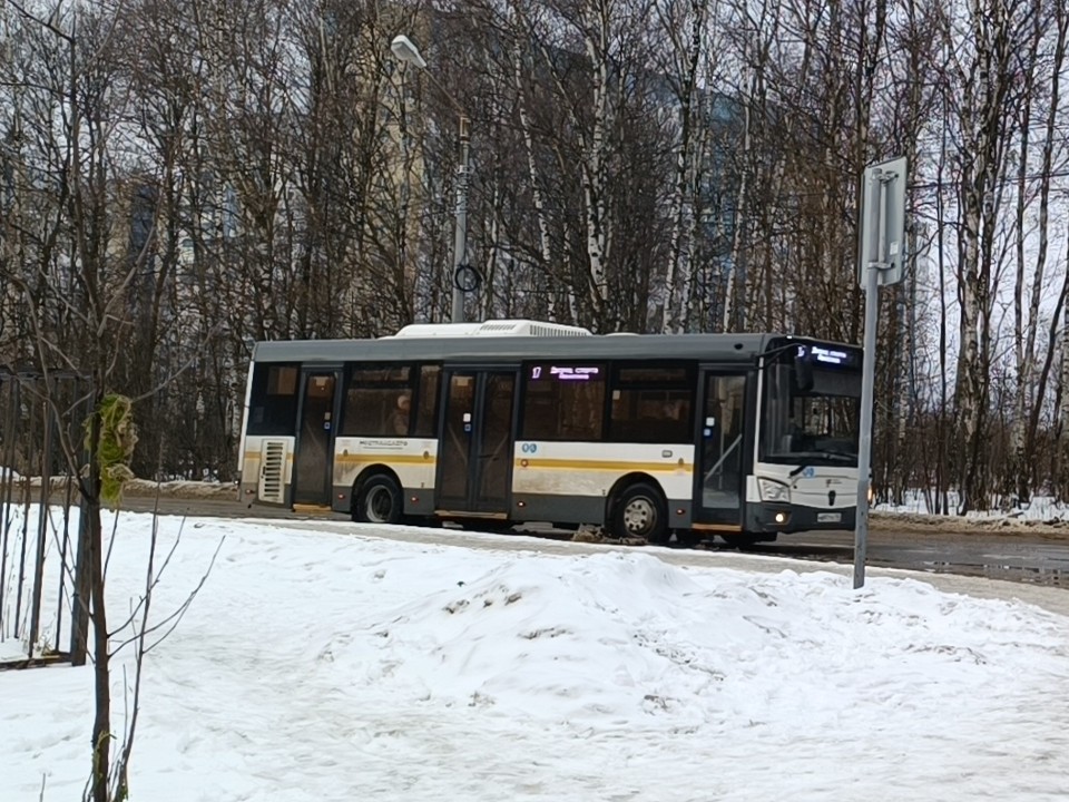 Два автобусных маршрута будут курсировать до 3 ночи на Крещение в Клину