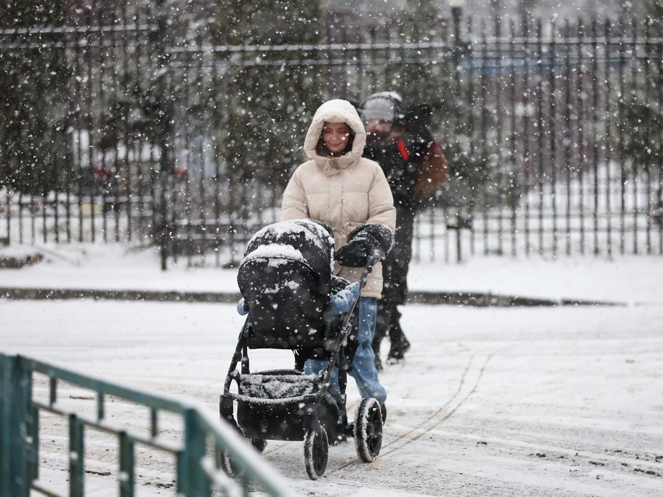 Жители Подмосковья смогут получить до 20 тыс. руб. из остатков маткапитала