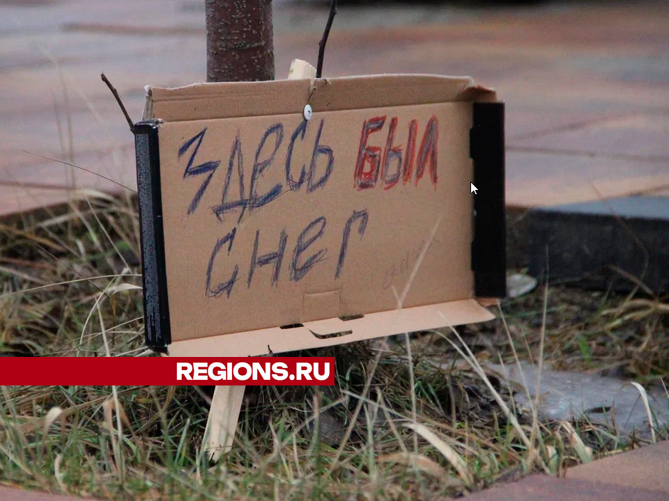 «Здесь был снег»: необычная табличка появилась в одном из егорьевских скверов