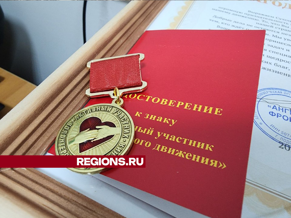 Нагрудные знаки и благодарности вручили в Подольске помощникам «Ангелов фронта»