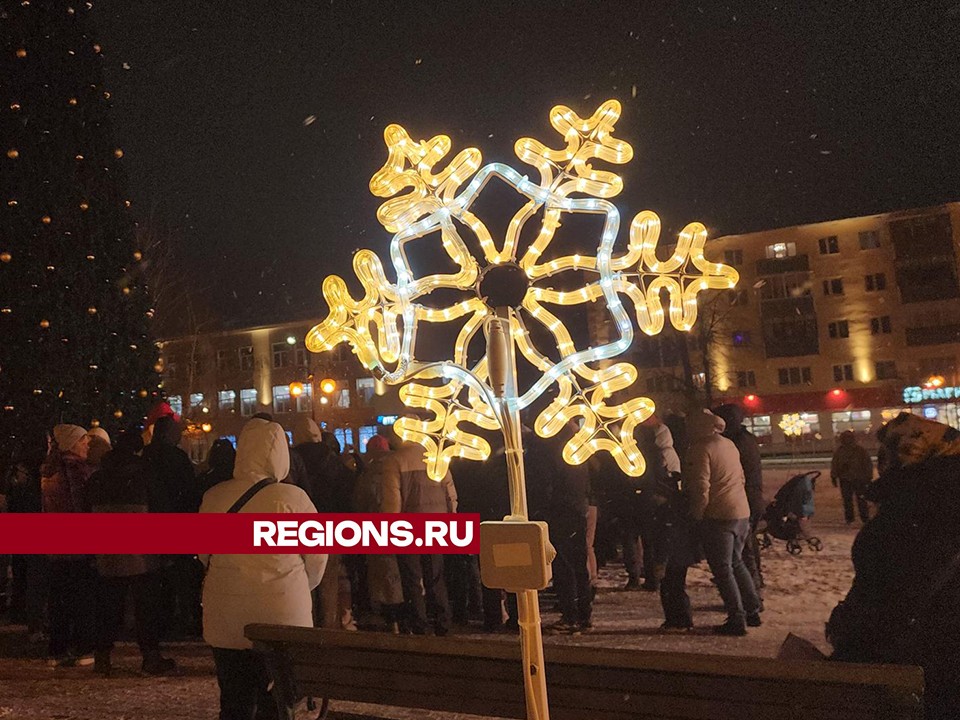 После оттепели и дождей в Серпухов придет снегопад