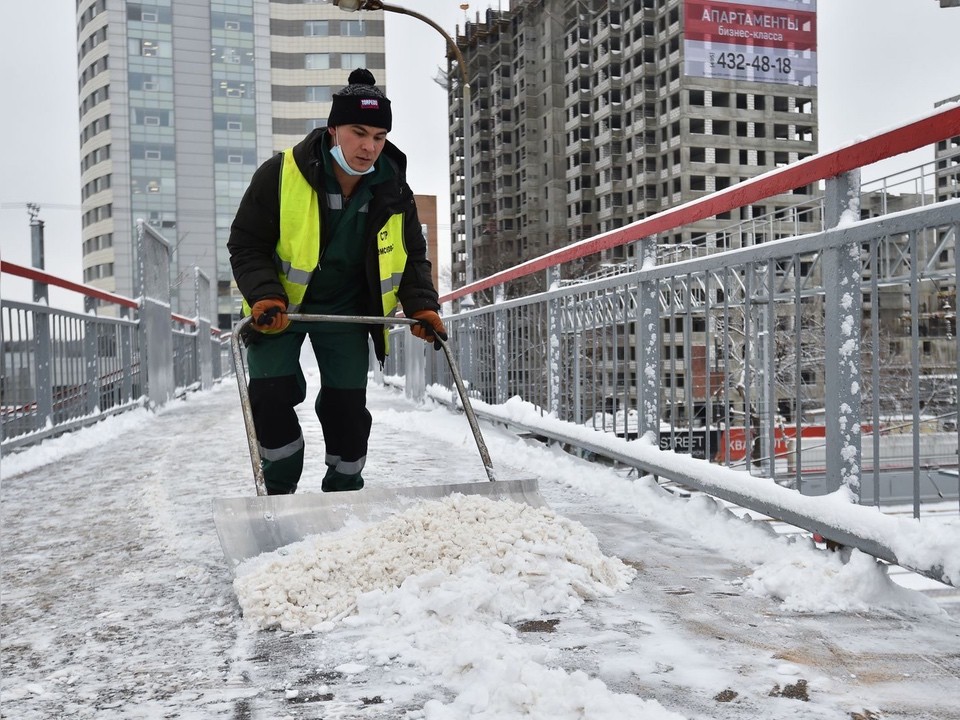 Мокрый снег ожидается в Подмосковье