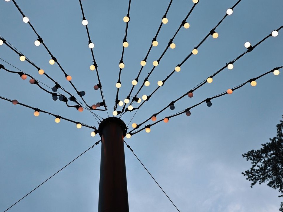 В Московском регионе побит 100-летний рекорд январского тепла