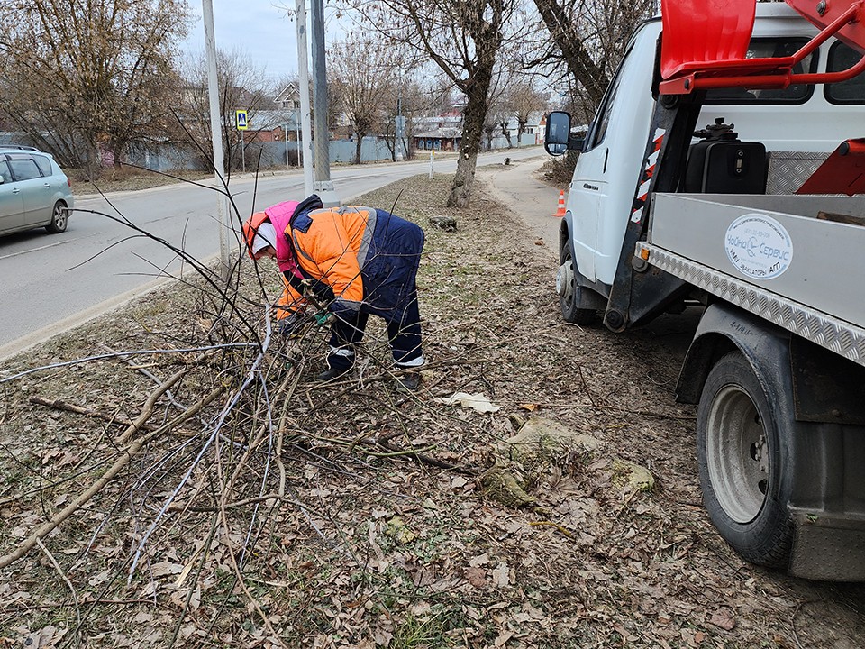 В парке Новлянская Ривьера убрали упавшие деревья