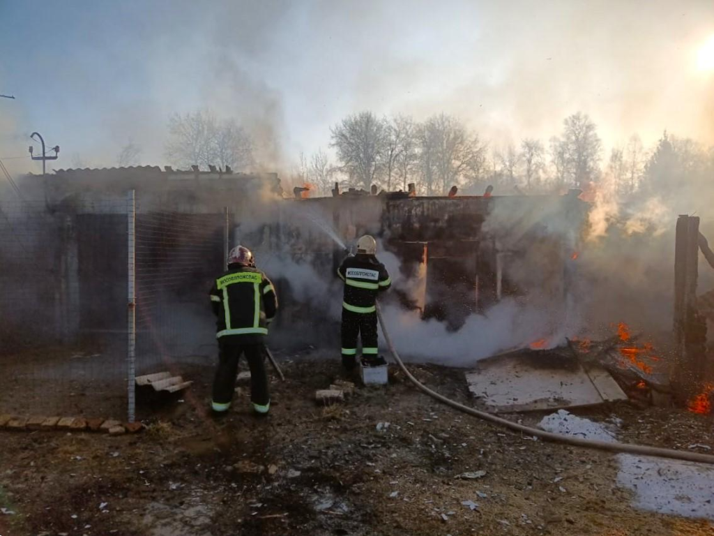 Пожарные спасли домашнюю птицу из пылающего гаража в Зубцово