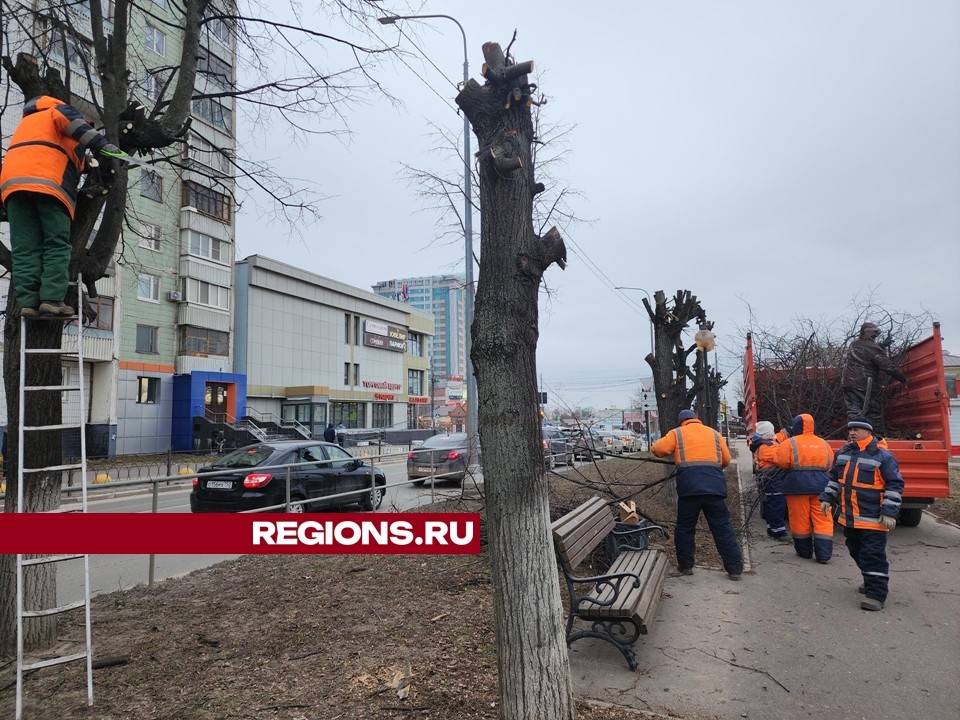 Комбинат благоустройства проводит санитарную обрезку деревьев в Серпухове