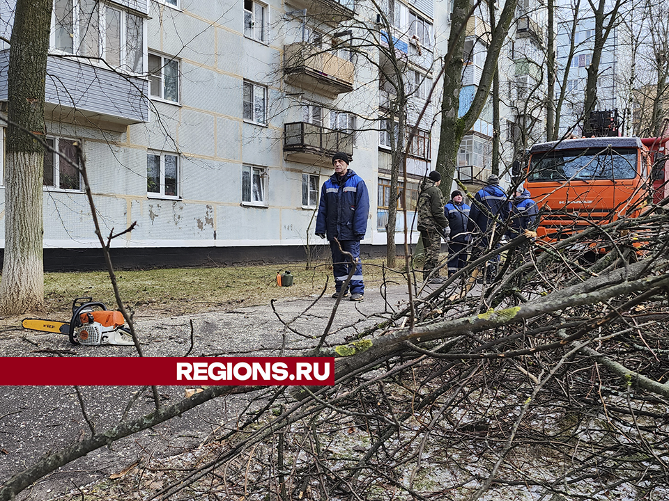 Электричество в поселке Малино вернут к 14:00 29 января