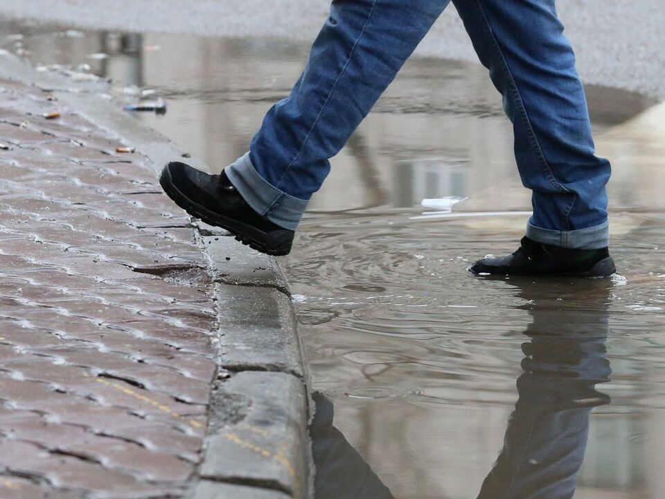 В Московскую область в последний день января придет тропическое тепло