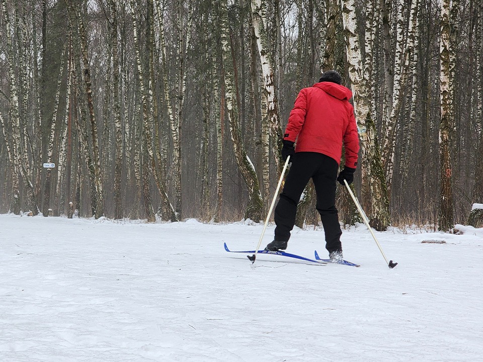 Жители Звенигорода выбрали лучшие народные места для катания на лыжах